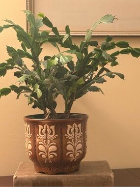 West German Pottery Plant Pot/Planter by Scheurich/MCM/Vintage/Unique